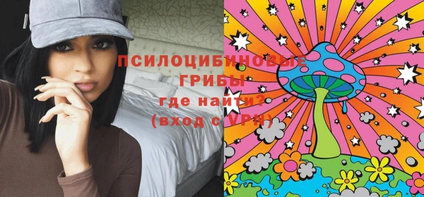 прущая мука Елабуга