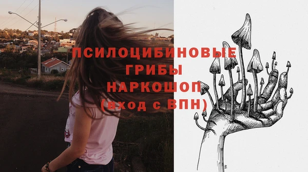 бошки Елизово