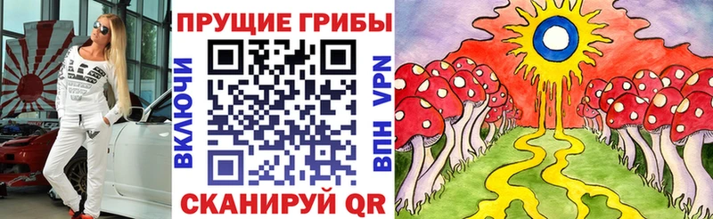 купить закладку  Заозёрск  Галлюциногенные грибы GOLDEN TEACHER 