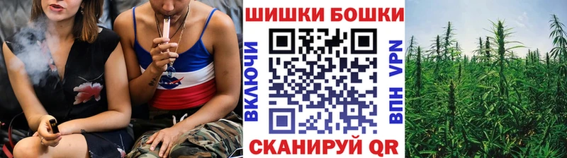 где можно купить наркотик  Заозёрск  Шишки марихуана Amnesia 